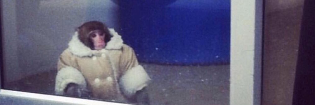 SnowWavy's profile banner image