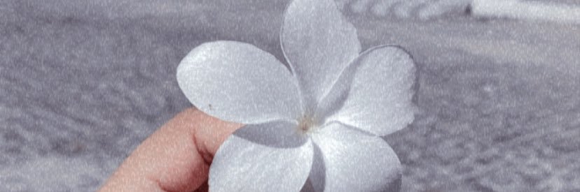 icarladanielle's profile banner image