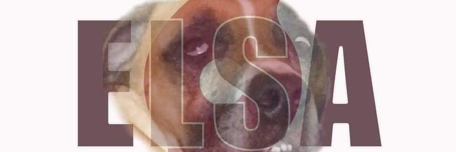 megdweeb's profile banner image