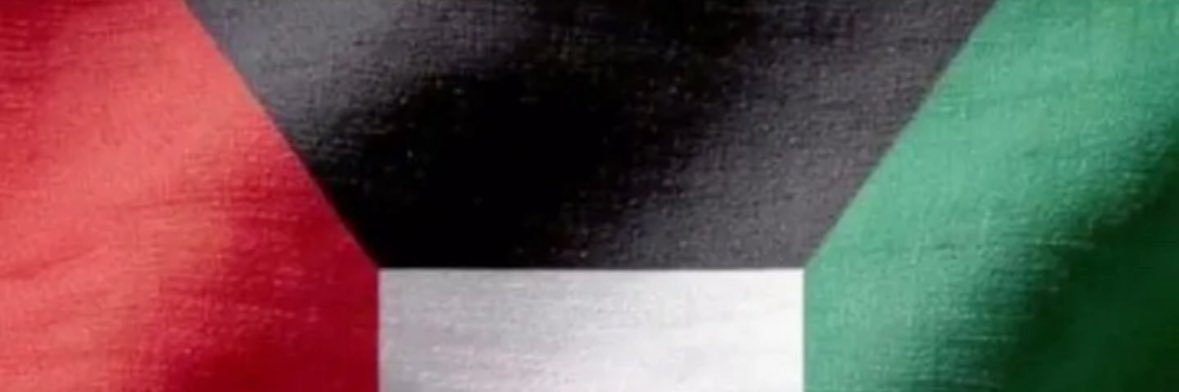 mimalas's profile banner image