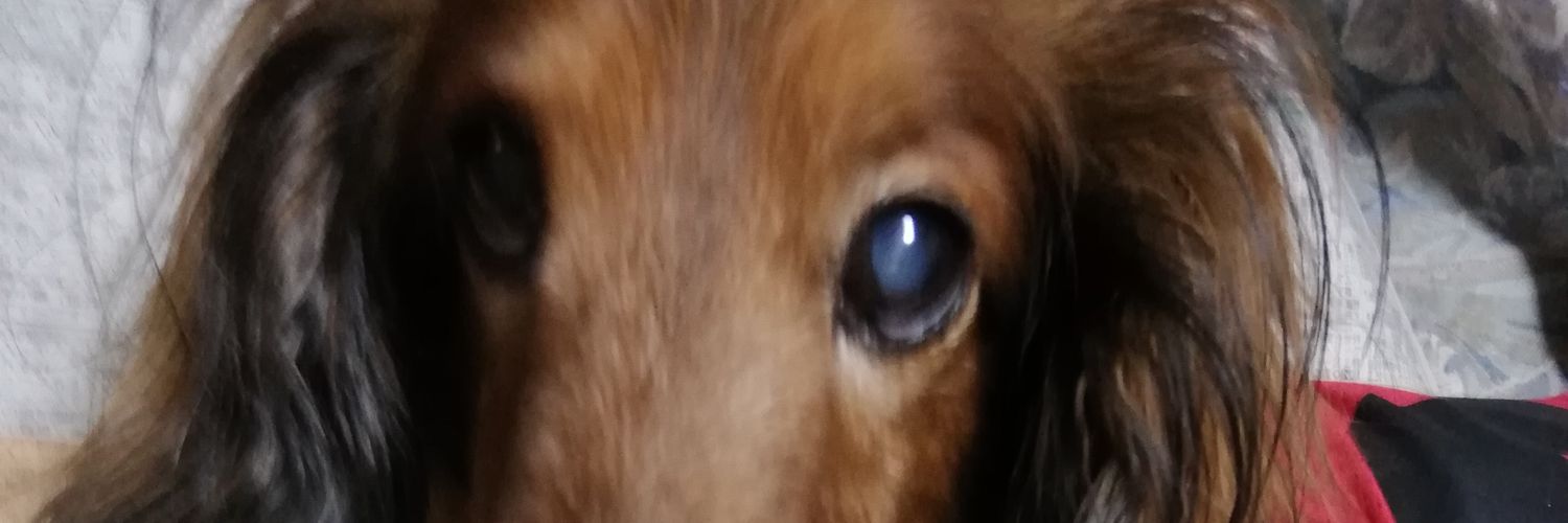 naphone69's profile banner image