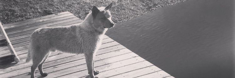 J_Rob7's profile banner image