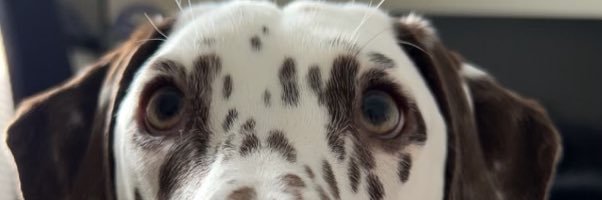 thejoerhodes's profile banner image