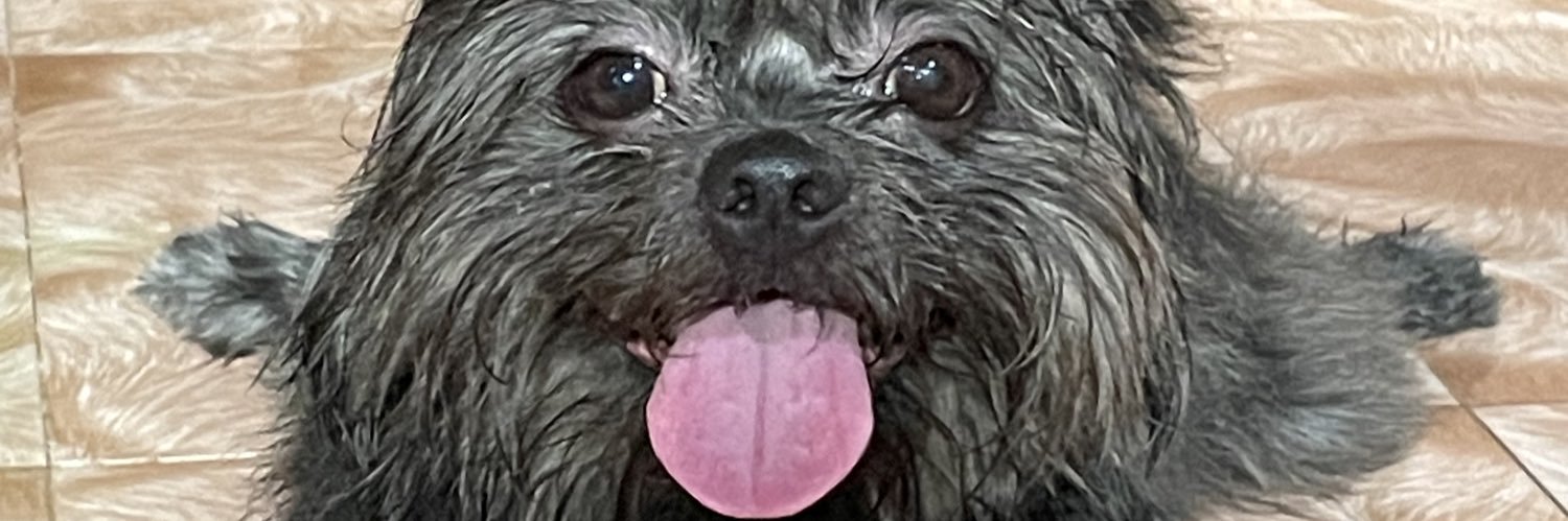 FloresJen019's profile banner image