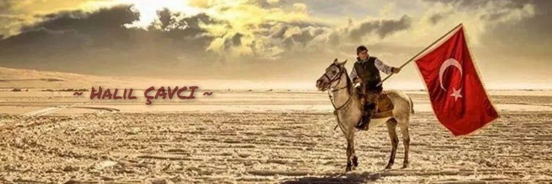 halilcavci's profile banner image