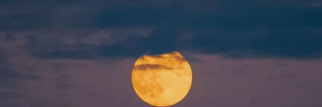 Arturo Medina banner