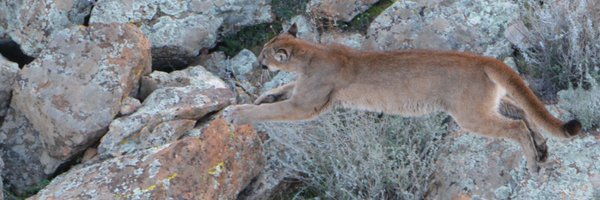 whcucdavis Profile Banner