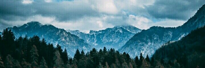 MariiaFerV's profile banner image