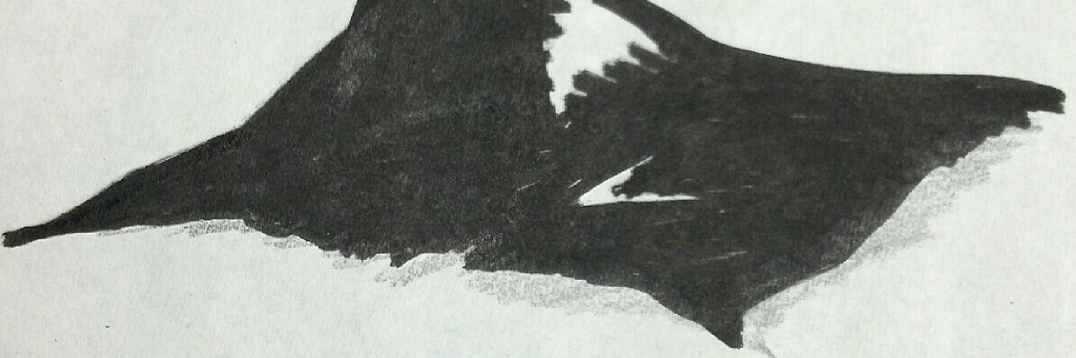 kyosai_7th's profile banner image
