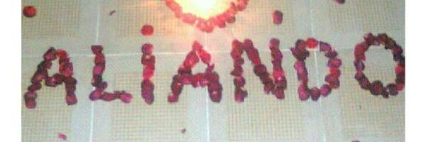 DianUtamiPutri7's profile banner image