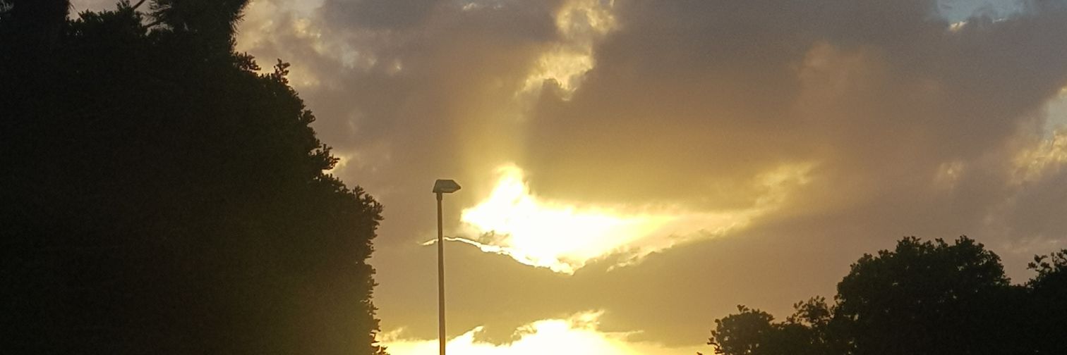 LeslieWeatherly's profile banner image