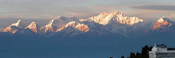 misuarez Profile Banner