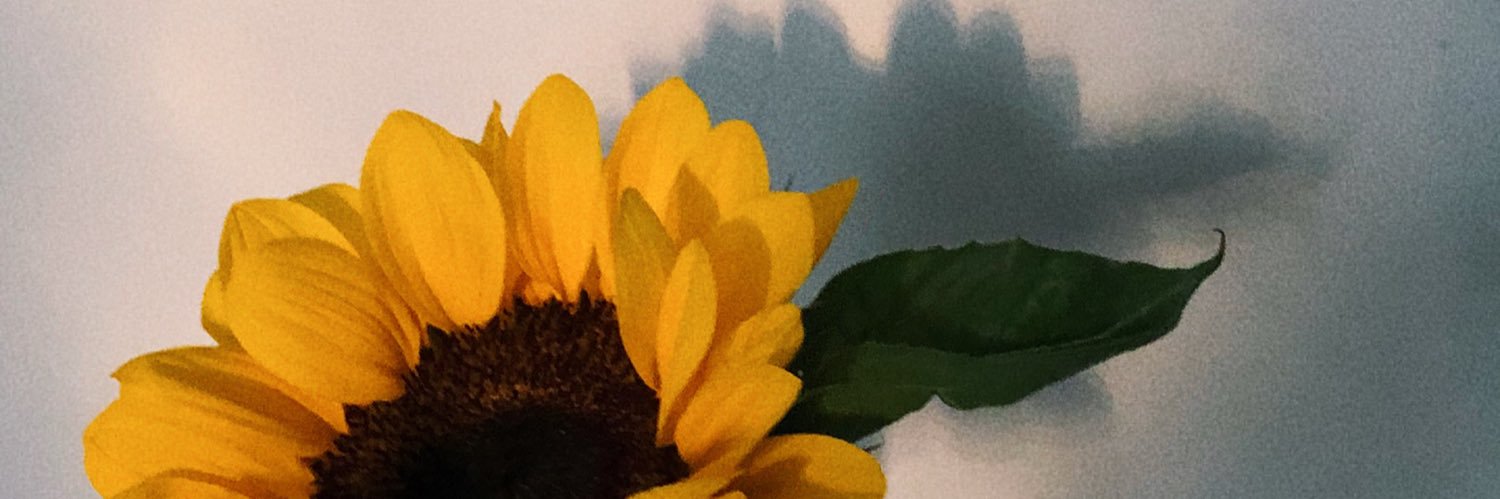 pklaochay's profile banner image