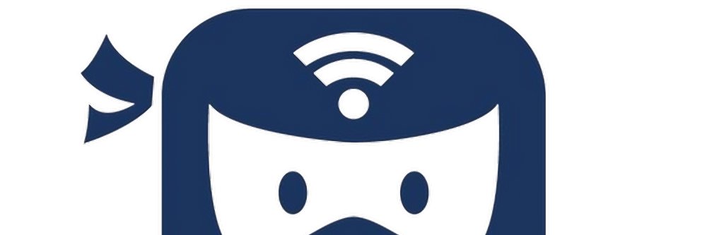 Ninja Nick banner