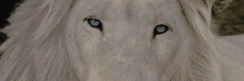 GreenieCMajor's profile banner image