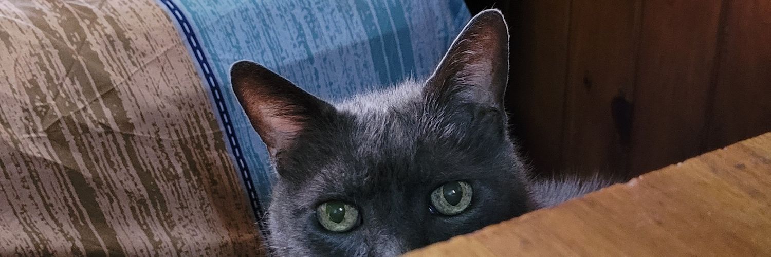CatrielDavid7's profile banner image
