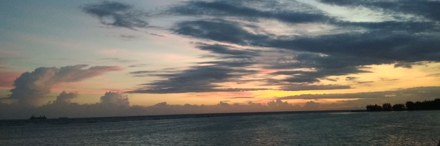 vikazakiah's profile banner image