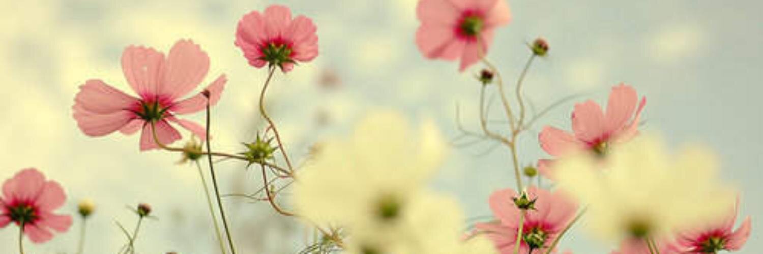 Deasy Christina S banner