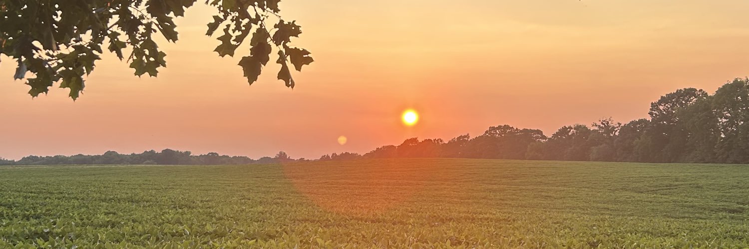 Tami423's profile banner image