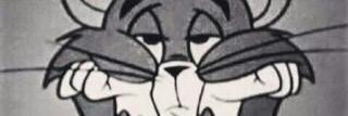 fahadayed11's profile banner image