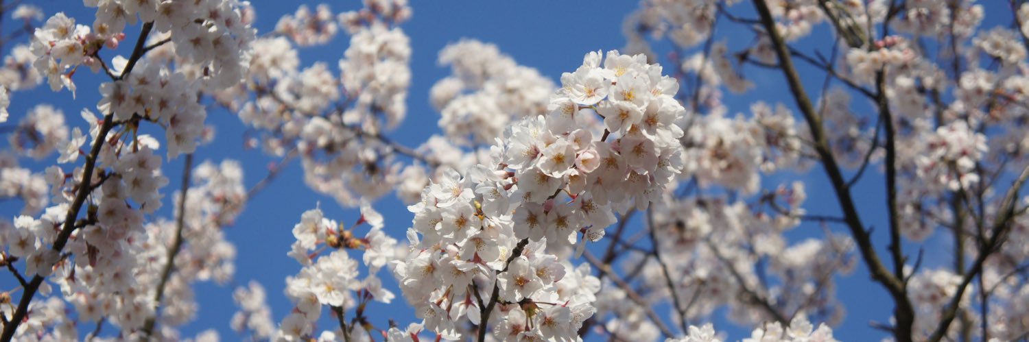 1235ykou's profile banner image