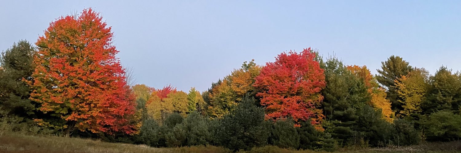 Mirasahmad's profile banner image