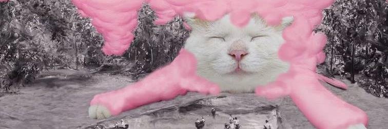 jesse_cooper's profile banner image