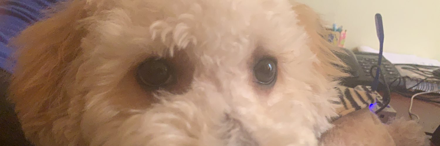 Chon_SC's profile banner image