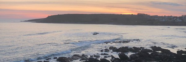 NTressard Profile Banner