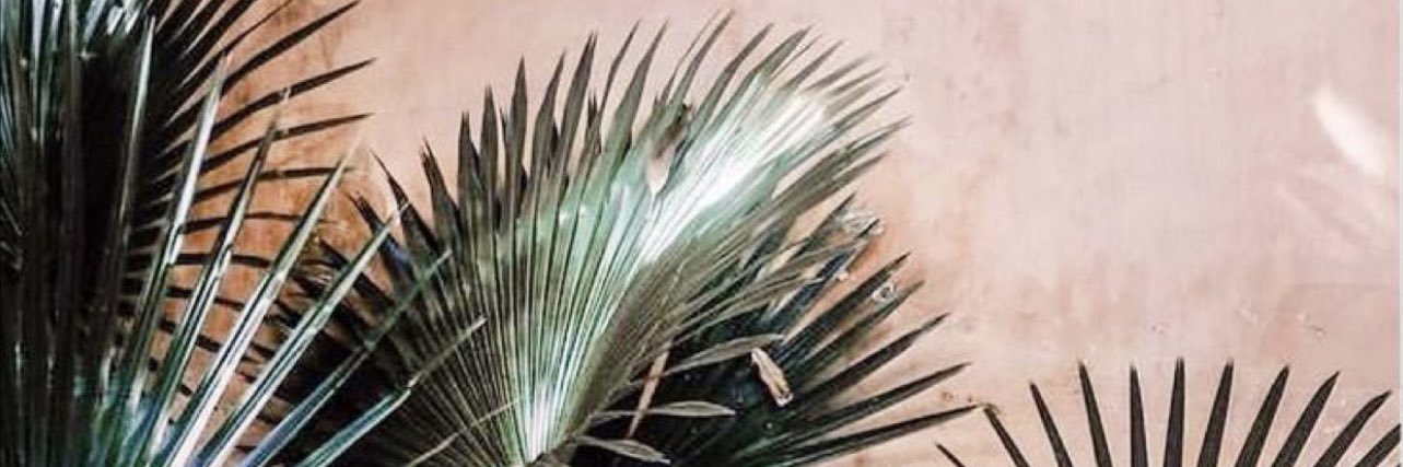 Ventrix___'s profile banner image