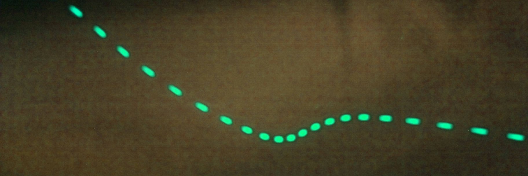 metaworldchaos banner