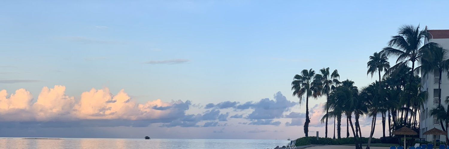 Jaz banner