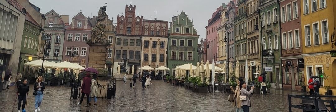 Dino 🦕🦕 banner