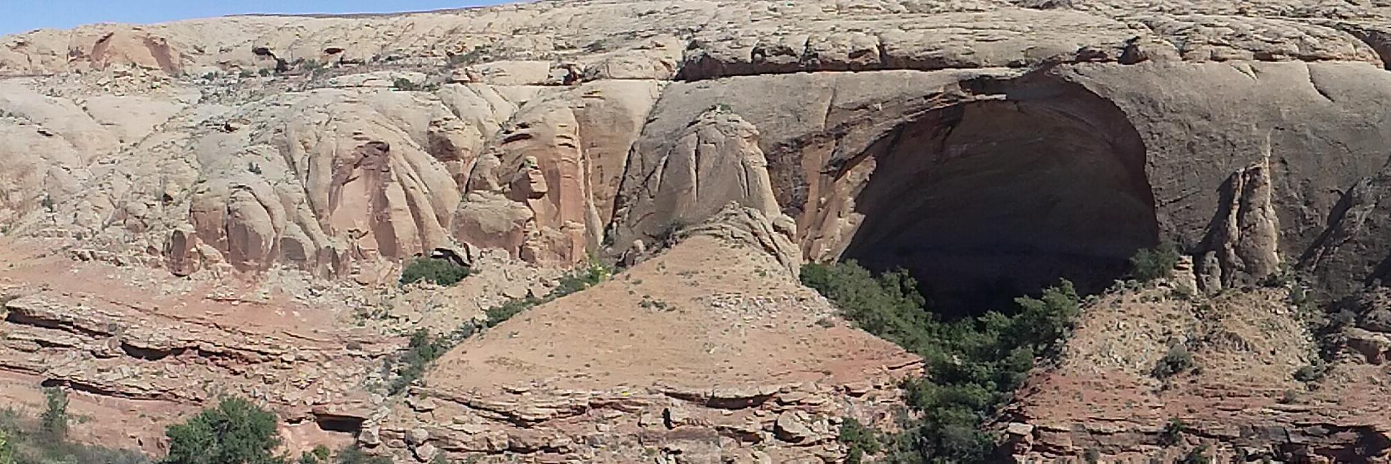 L.A. Native Diné banner