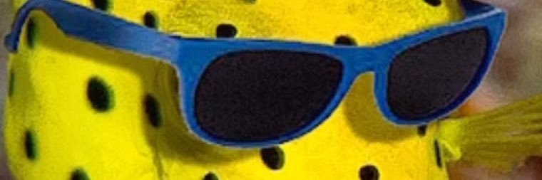 emmmmmfox's profile banner image