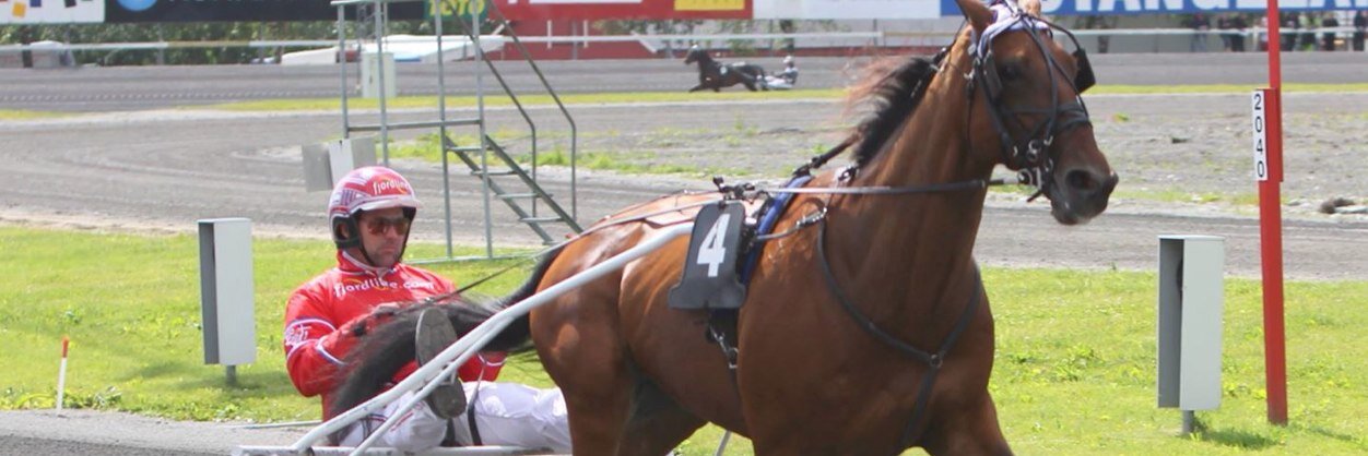 WestergaardBo's profile banner image