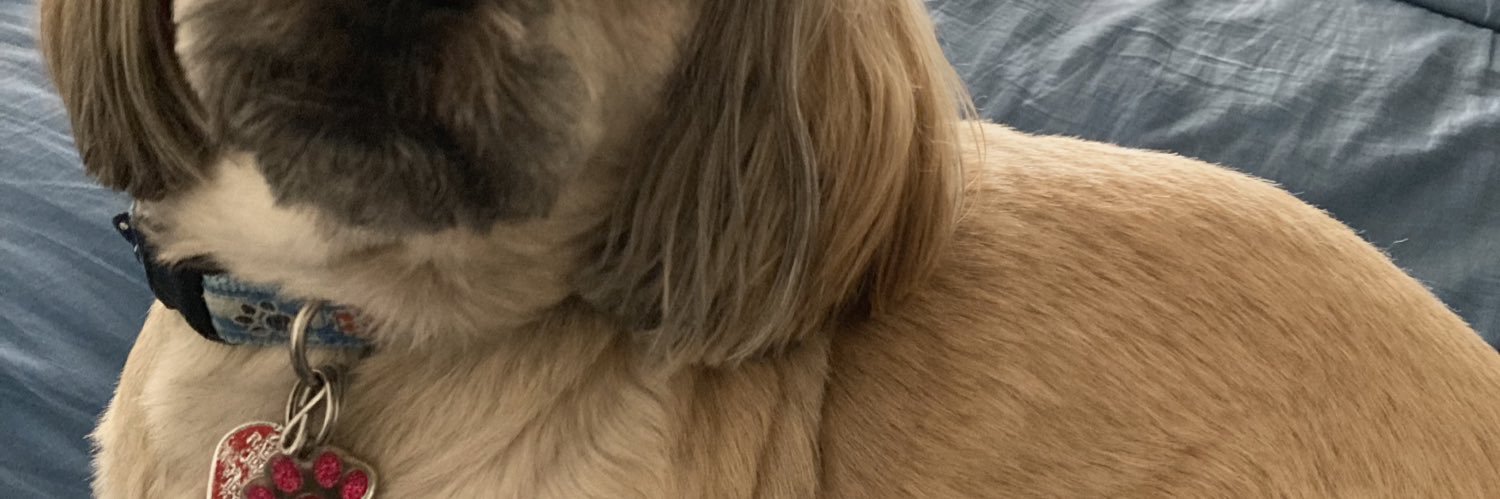 Connlaw's profile banner image