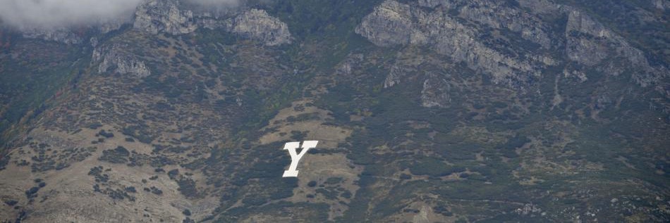 Rick Anderson banner