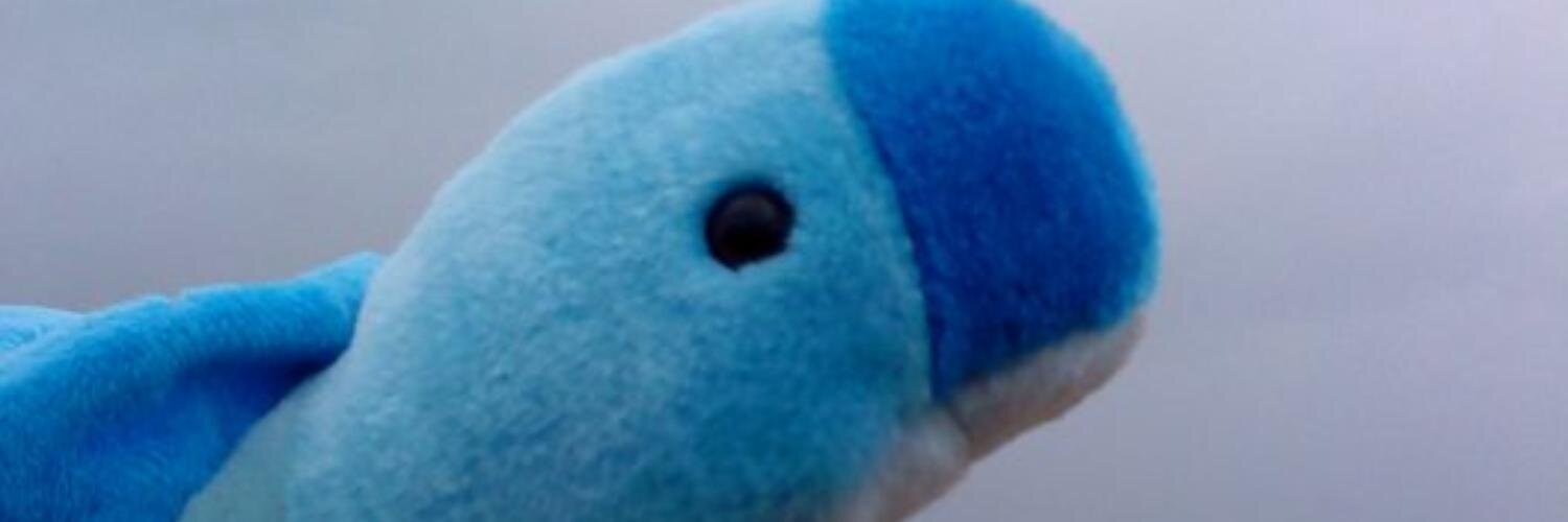 rossyb90's profile banner image