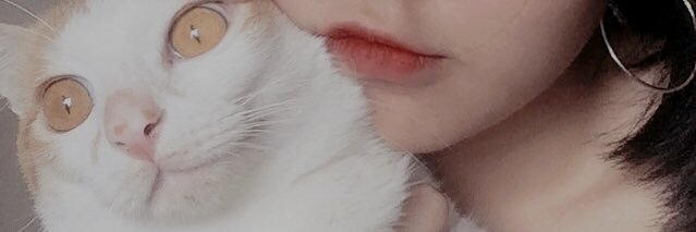 annnvii's profile banner image