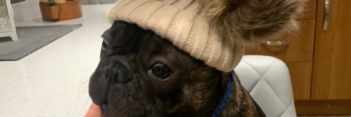 caseyraexoxo's profile banner image