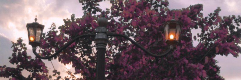 Vanfebriant's profile banner image