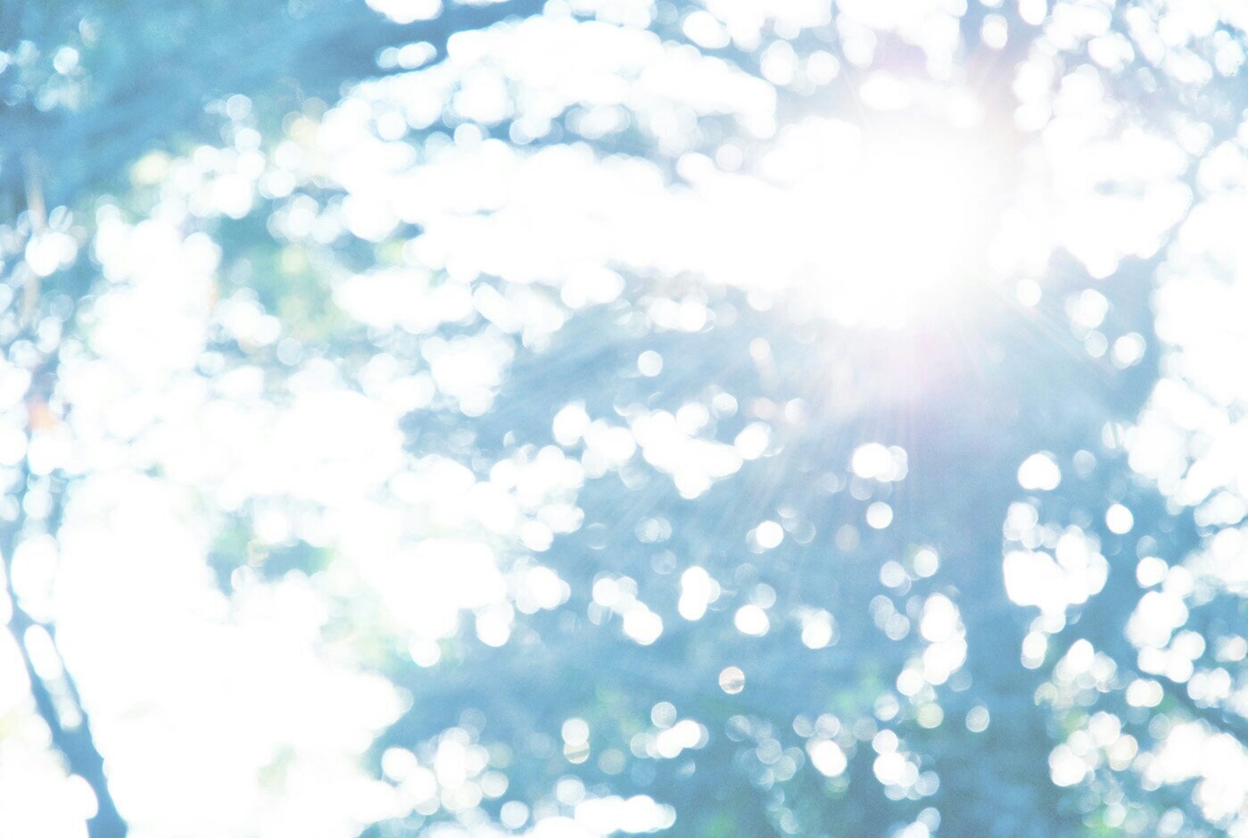 RSW_Information's profile banner image