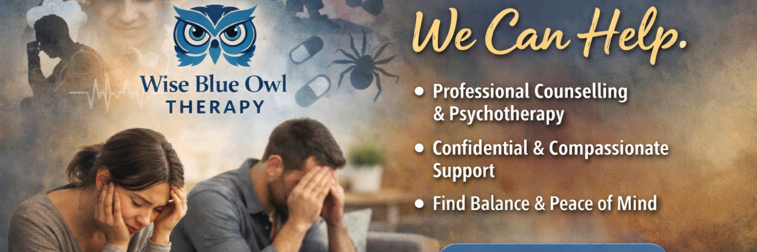Wise Blue Owl banner