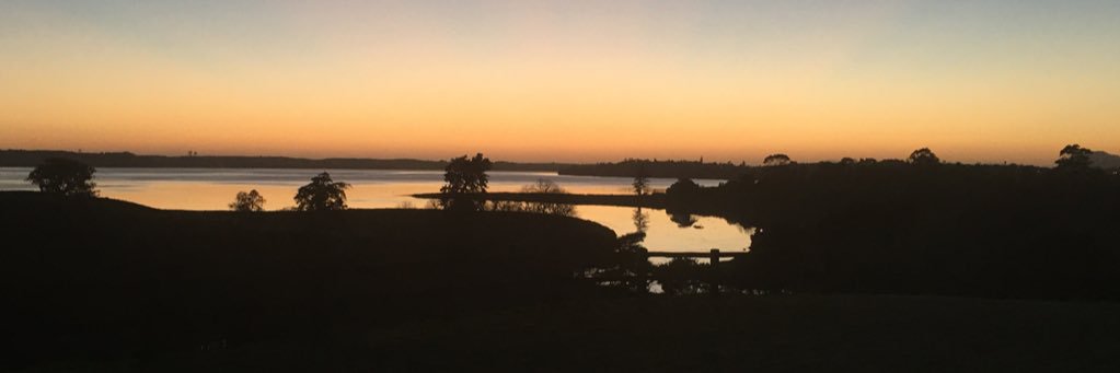 Steve Saunders banner