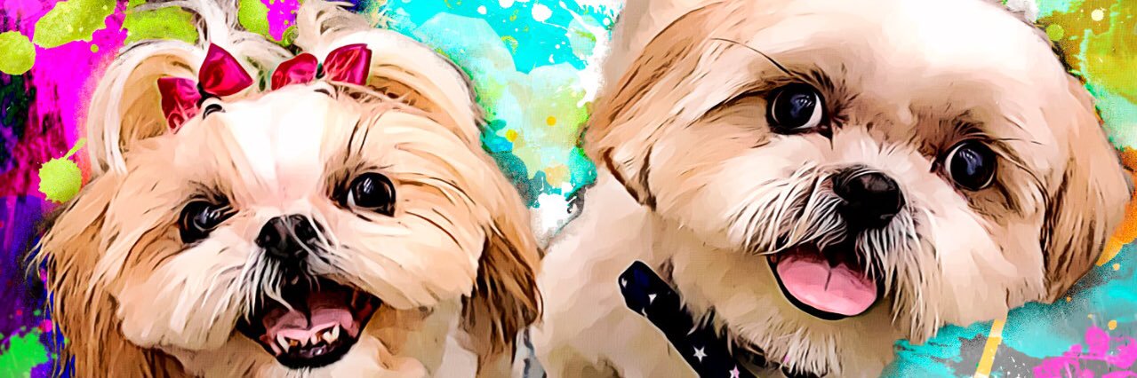 Cecy Ag banner