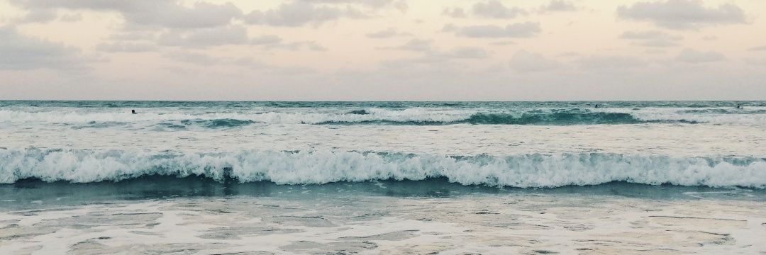 nolyna_'s profile banner image