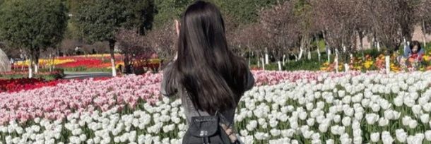 chiodior31's profile banner image