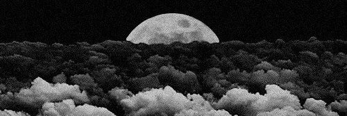 AnansiRex's profile banner image