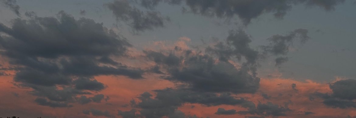 maelle banner